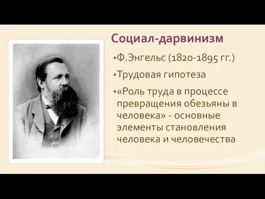 Социал-дарвинизм Ф.Энгельс (1820-1895 гг.) Трудовая гипотеза «Роль труда в процессе превращения