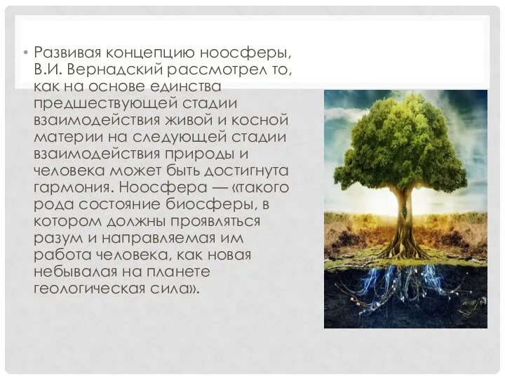 Развивая концепцию ноосферы, В.И. Вернадский рассмотрел то, как на основе единства