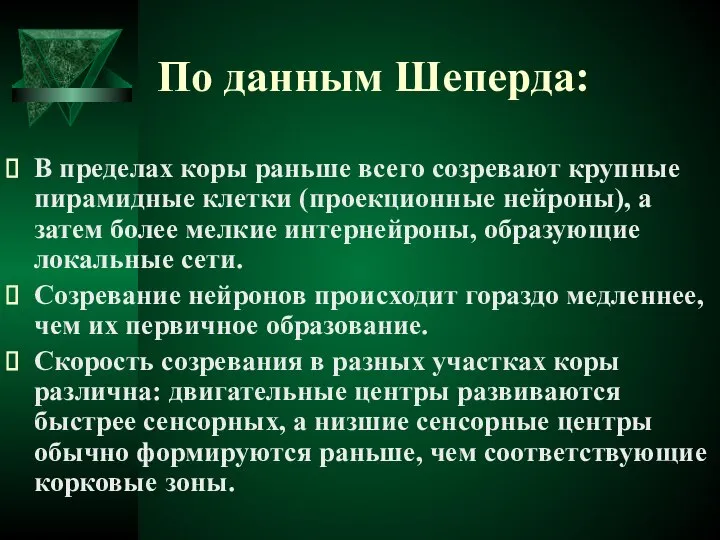 По данным Шеперда: В пределах коры раньше всего созревают крупные пирамидные