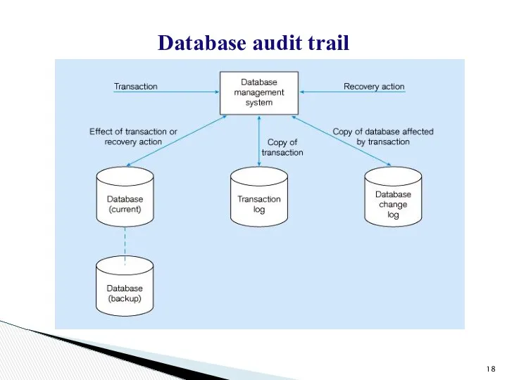 Database audit trail