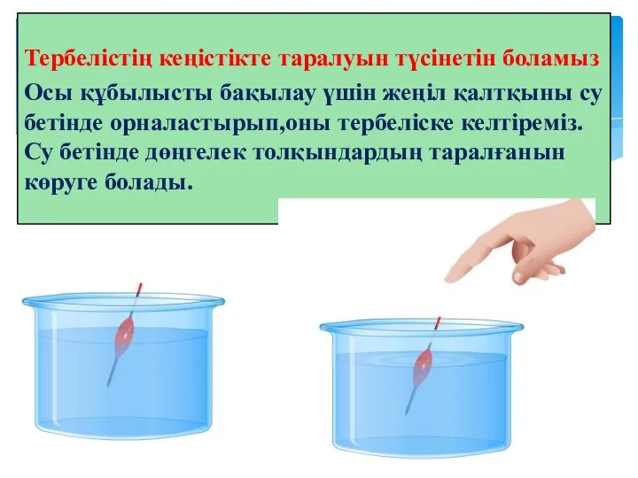 Тербелістің кеңістікте таралуын түсінетін боламыз Осы құбылысты бақылау үшін жеңіл қалтқыны