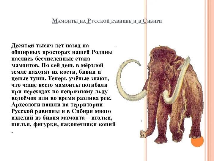Мамонты на Русской равнине и в Сибири Десятки тысяч лет назад