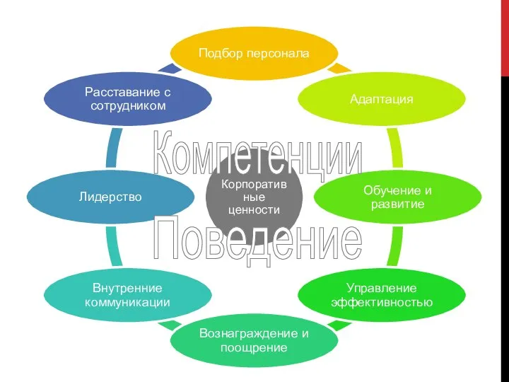 Компетенции Поведение