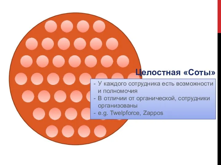 Целостная «Соты» У каждого сотрудника есть возможности и полномочия В отличии