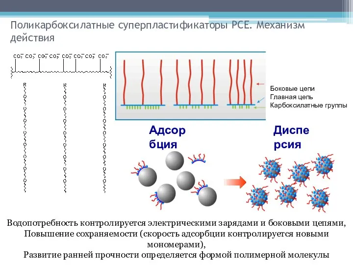 Поликарбоксилатные суперпластификаторы PCE. Механизм действия Боковые цепи Главная цепь Карбоксилатные группы