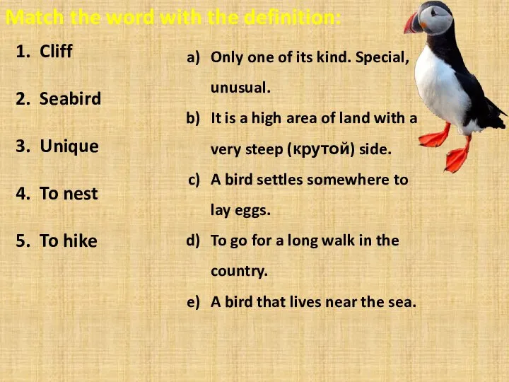 Match the word with the definition: Cliff Seabird Unique To nest