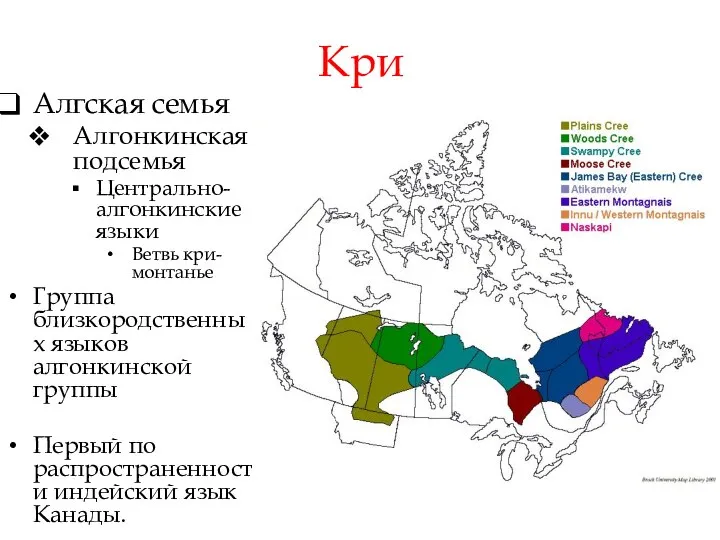 Кри Алгская семья Алгонкинская подсемья Центрально-алгонкинские языки Ветвь кри-монтанье Группа близкородственных