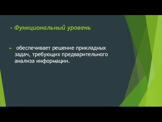 - Функциональный уровень обеспечивает решение прикладных задач, требующих предварительного анализа информации.