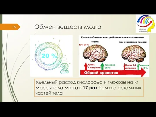 Обмен веществ мозга Удельный расход кислорода и глюкозы на кг массы