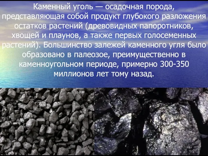 Каменный уголь — осадочная порода, представляющая собой продукт глубокого разложения остатков