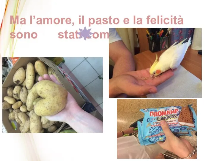 Ma l’amore, il pasto e la felicità sono stati com me