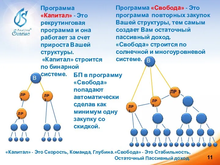 Вы ЛР 3 ЛР 2 ЛР 1 11 Программа «Капитал» -