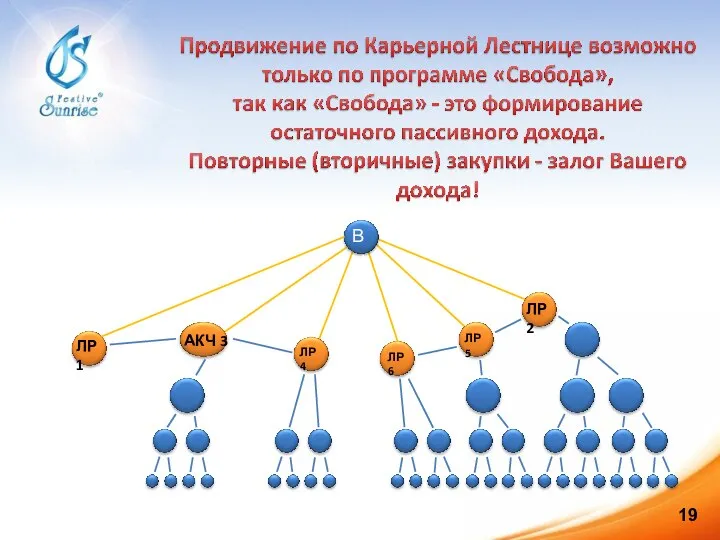 Вы ЛР1 ЛР2 АКЧ 3 ЛР 4 ЛР 5 ЛР 6 19