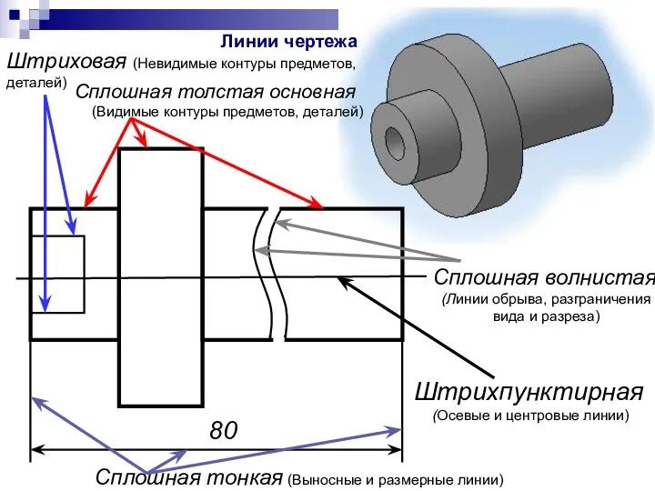 Сплошная толстая основная (Видимые контуры предметов, деталей) Сплошная тонкая (Выносные и