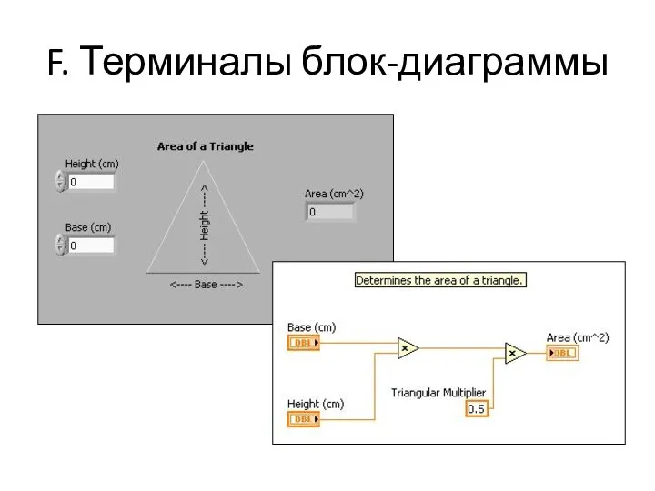 F. Терминалы блок-диаграммы
