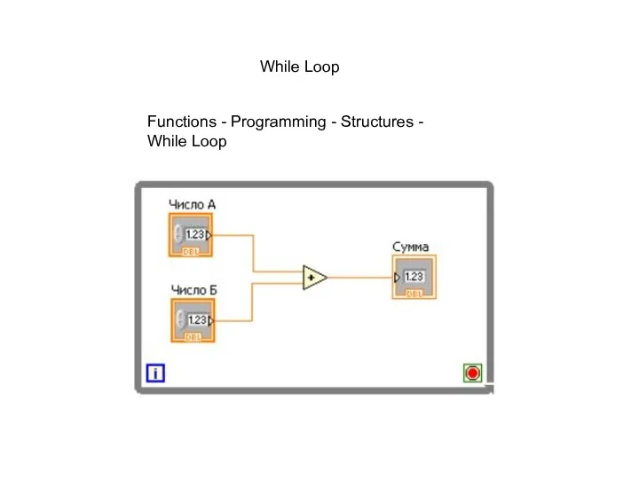 While Loop Functions - Programming - Structures - While Loop