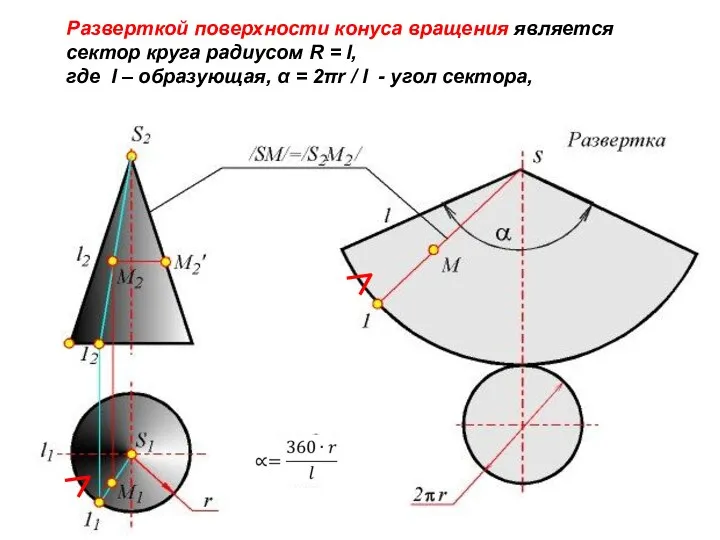 Разверткой поверхности конуса вращения является сектор круга радиусом R = l,