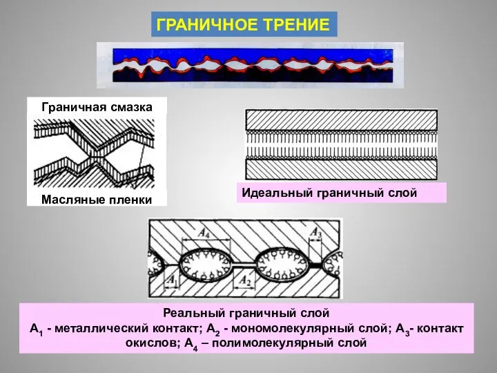 ГРАНИЧНОЕ ТРЕНИЕ