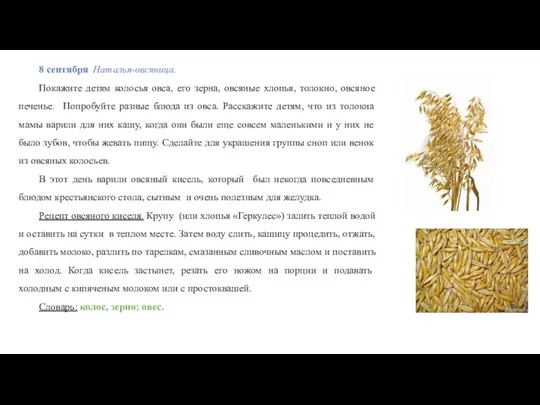 8 сентября Наталья-овсяница. Покажите детям колосья овса, его зерна, овсяные хлопья,