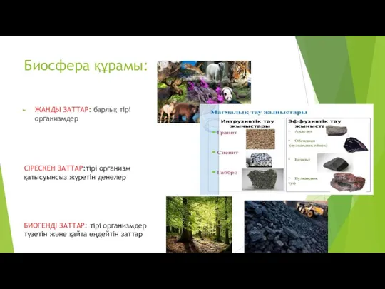 Биосфера құрамы: ЖАНДЫ ЗАТТАР: барлық тірі организмдер СІРЕСКЕН ЗАТТАР:тірі организм қатысуынсыз