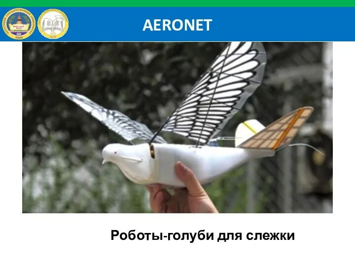 AERONET Роботы-голуби для слежки