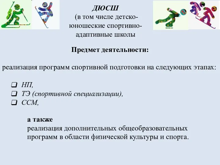 Предмет деятельности: реализация программ спортивной подготовки на следующих этапах: НП, ТЭ