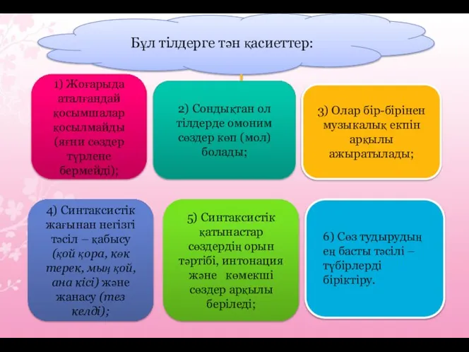 Бұл тілдерге тән қасиеттер: 1) Жоғарыда аталғандай қосымшалар қосылмайды (яғни сөздер