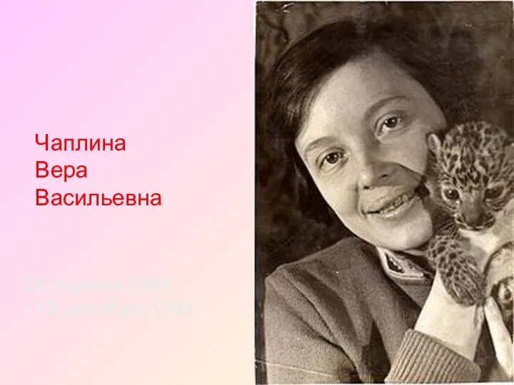 24 апреля 1908 - 19 декабря 1994 Чаплина Вера Васильевна