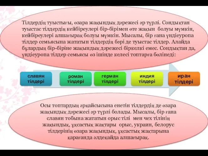 Осы топтардың әрқайсысына енетін тілдердің де өзара жақындық дәрежесі әр түрлі