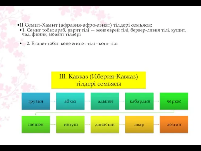 II.Семит-Хамит (афразия-афро-азият) тілдері семьясы: 1. Семит тобы: араб, иврит тілі —