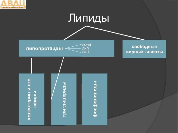 Липиды липопротеиды свободные жирные кислоты холестерин и его эфиры триглицериды фосфолипиды ЛОНП ЛНП ЛВП