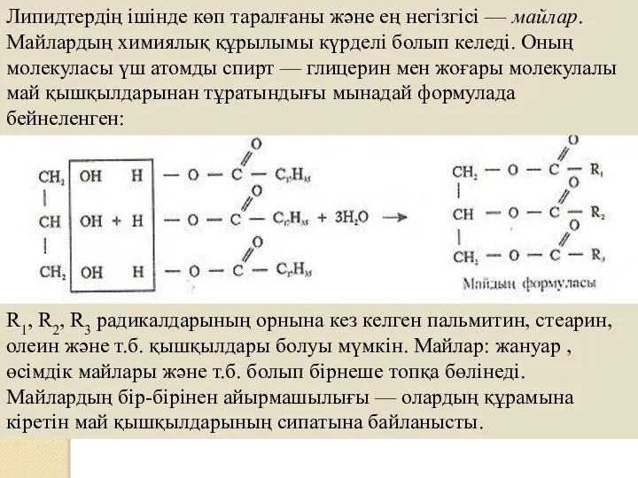 Липидтердің ішінде көп таралғаны және ең негізгісі — майлар. Майлардың химиялық