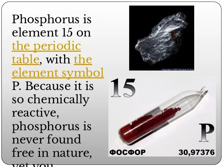 Phosphorus is element 15 on the periodic table, with the element