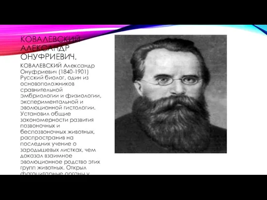 КОВАЛЕВСКИЙ АЛЕКСАНДР ОНУФРИЕВИЧ. КОВАЛЕВСКИЙ Александр Онуфриевич (1840-1901) Русский биолог, один из