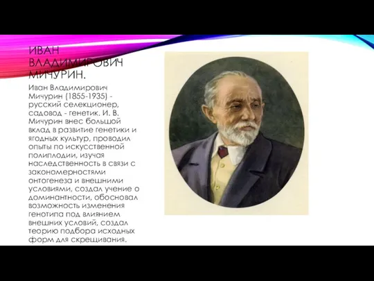 ИВАН ВЛАДИМИРОВИЧ МИЧУРИН. Иван Владимирович Мичурин (1855-1935) - русский селекционер, садовод