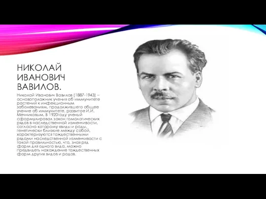 НИКОЛАЙ ИВАНОВИЧ ВАВИЛОВ. Николай Иванович Вавилов (1887-1943) – основоположник учения об
