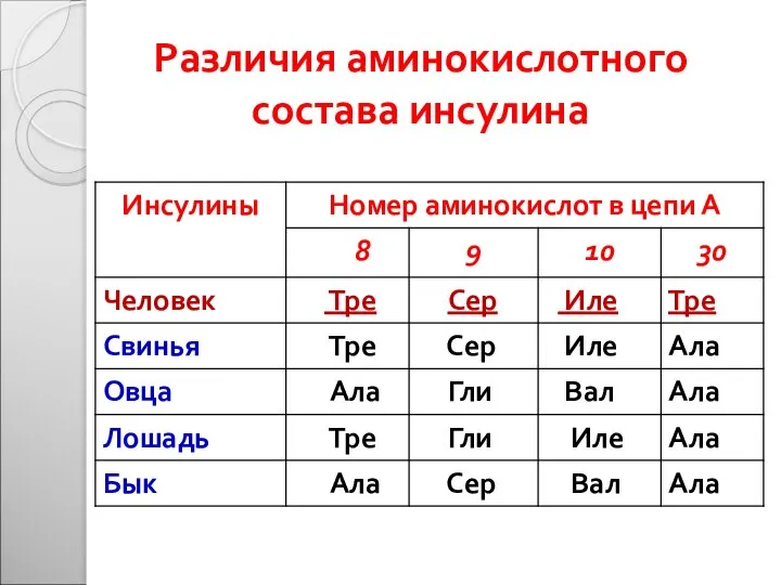 Различия аминокислотного состава инсулина