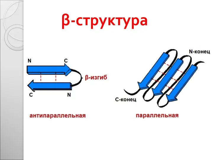 β-структура