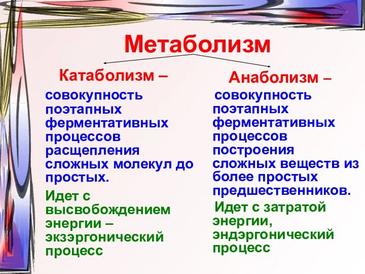 Метаболизм Катаболизм – совокупность поэтапных ферментативных процессов расщепления сложных молекул до