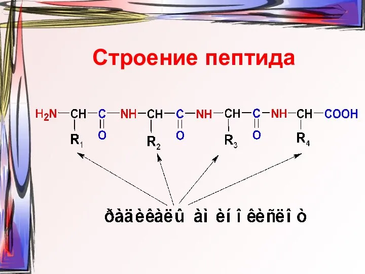 Строение пептида