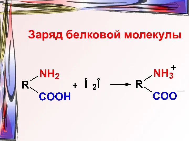 Заряд белковой молекулы