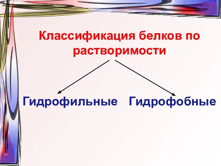 Классификация белков по растворимости Гидрофильные Гидрофобные