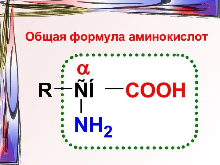 Общая формула аминокислот