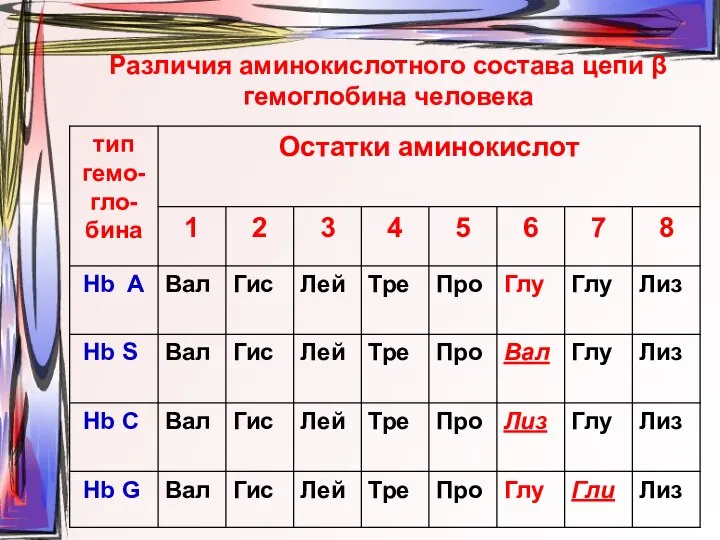 Различия аминокислотного состава цепи β гемоглобина человека