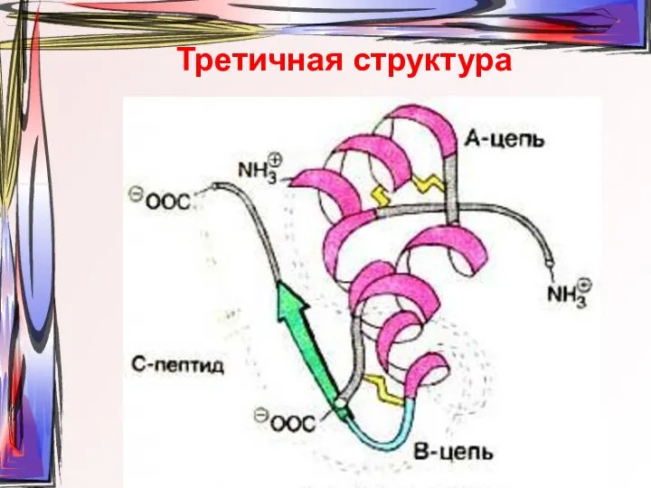 Третичная структура