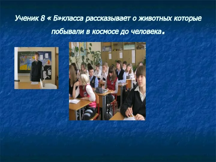 Ученик 8 « Б»класса рассказывает о животных которые побывали в космосе до человека.