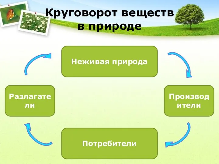 Круговорот веществ в природе Разлагатели Неживая природа Производители Потребители