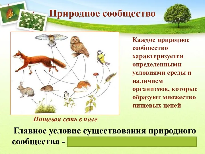 Каждое природное сообщество характеризуется определенными условиями среды и наличием организмов, которые