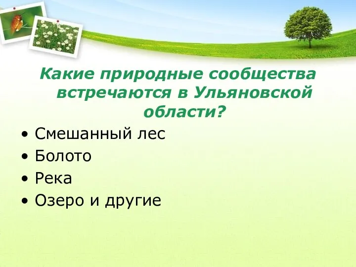 Какие природные сообщества встречаются в Ульяновской области? Смешанный лес Болото Река Озеро и другие