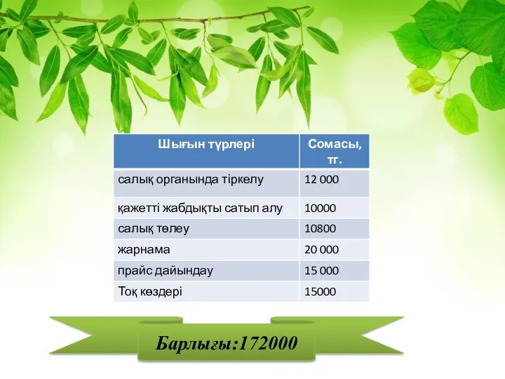 Барлығы:172000